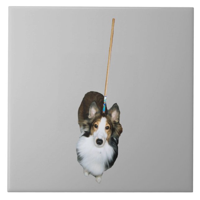 Mop-Hund Kakelplatta (Framsidan)