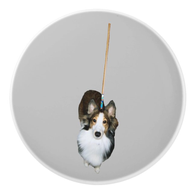 Mop-Hund Knopp (Framsidan)