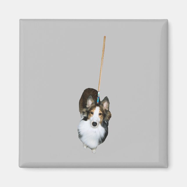 Mop-Hund Magnet (Framsidan)