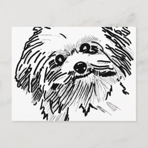 Mop-Hund Vykort