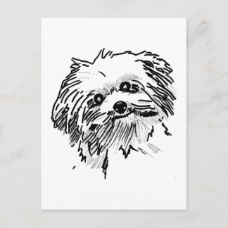 Mop-Hund Vykort