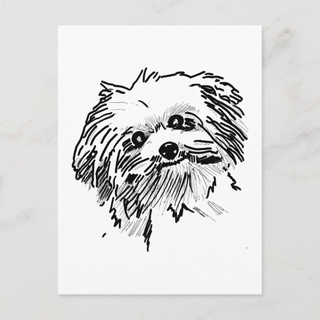Mop-Hund Vykort (Framsida)
