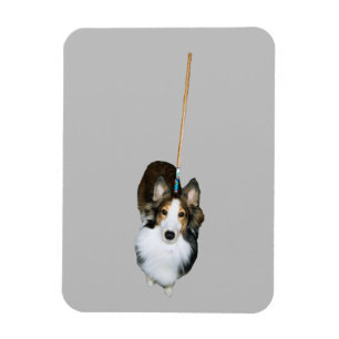 Mopphund Magnet