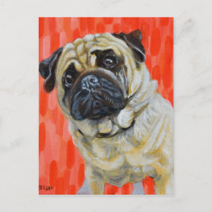 Mops 0range vykort