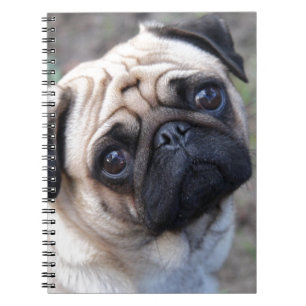 MOPS ANTECKNINGSBOK