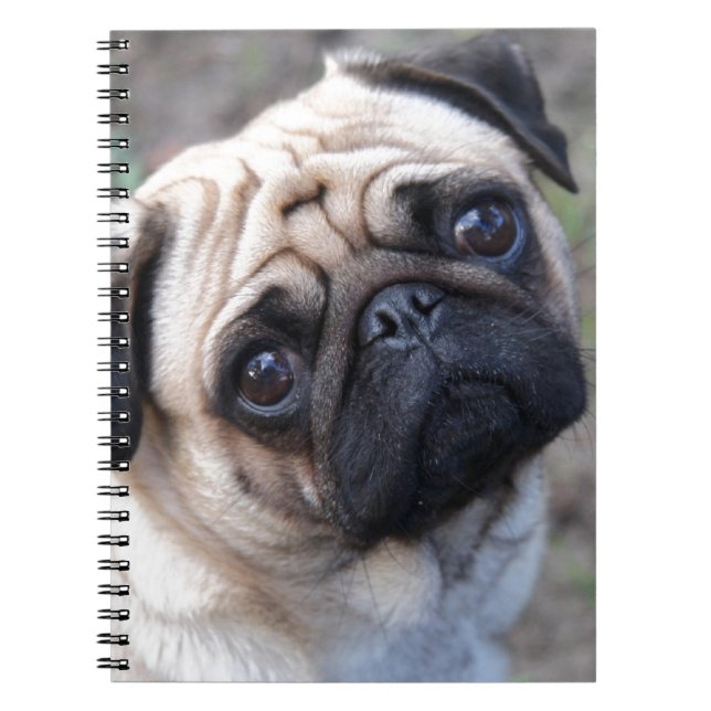 MOPS ANTECKNINGSBOK (Framsidan)