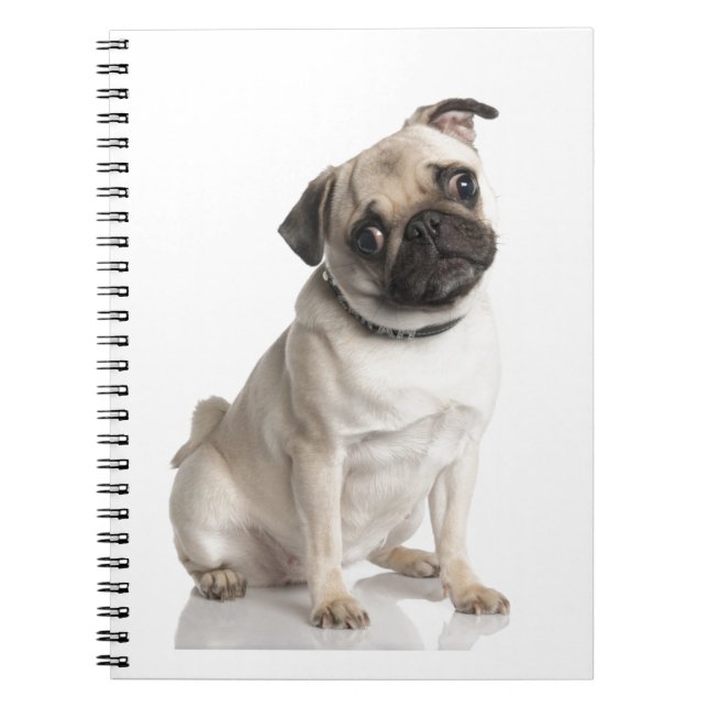 Mops Anteckningsbok (Framsidan)