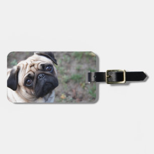 MOPS BAGAGEBRICKA