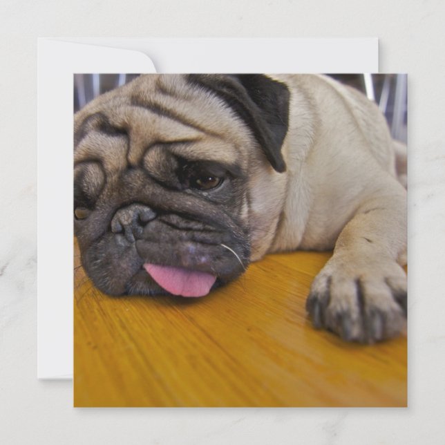 Mops en för många inbjudan (Framsida)