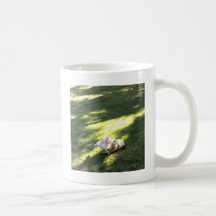 Mops Faceplant Kaffemugg