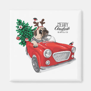Mops för god jul som kör vintage car magnet