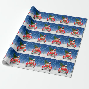 Mops Hund Kör Bil I Snö Jul Presentpapper