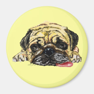 Mops Hund Magnet Pets