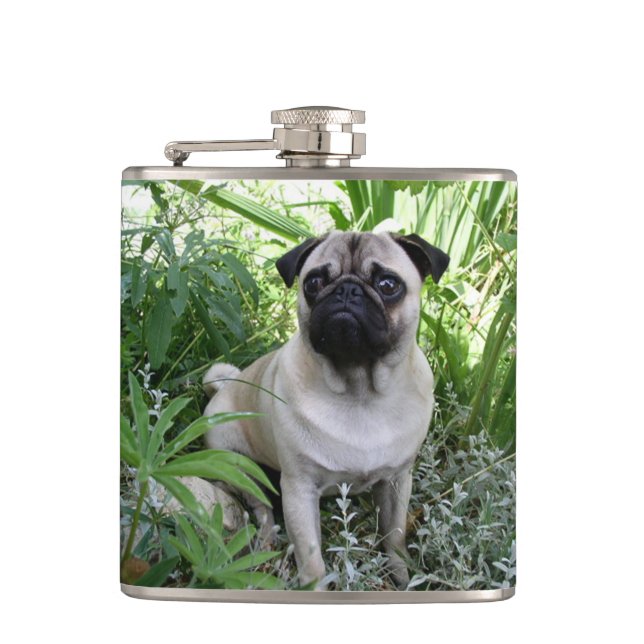 mops hund sittande fickplunta (Framsidan)