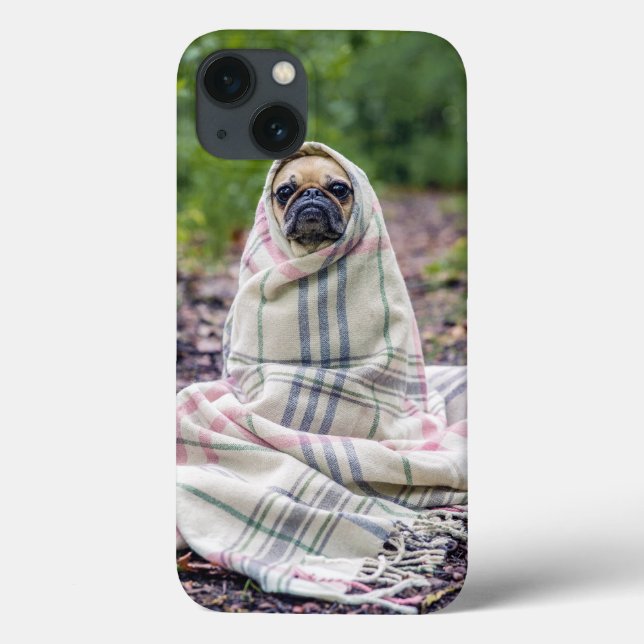 Mops i en filt (Baksida)