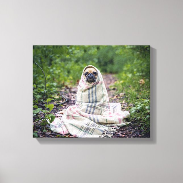 Mops i en filt canvastryck (Framsida)