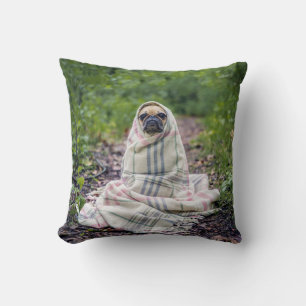 Mops i en filt kudde