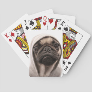 Mops i en Hoodie Kortlek