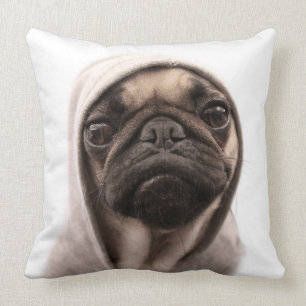 Mops i en Hoodie Kudde