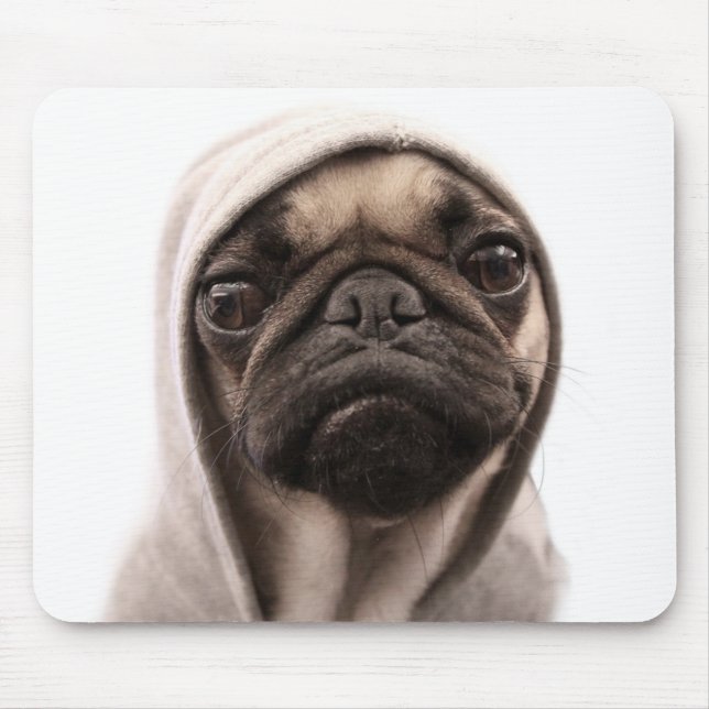 Mops i en Hoodie Musmatta (Framsidan)