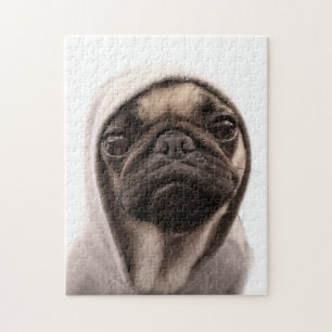 Mops i en Hoodie Pussel