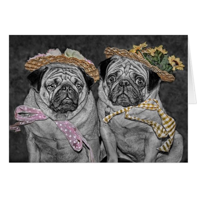 Mops i hättor hälsningskort (Framsidan Horizontal)