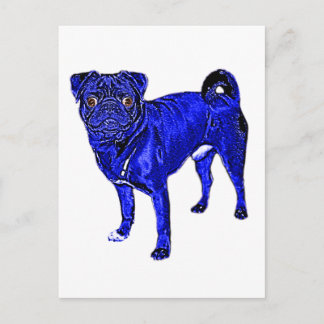 Mops Jack in Blau Vykort