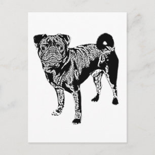 Mops Jack monochrom Vykort