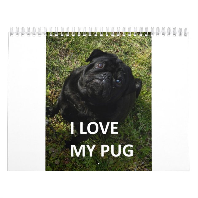 Mops Kalender (Omslag)