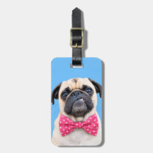 Mops med rosa rosett