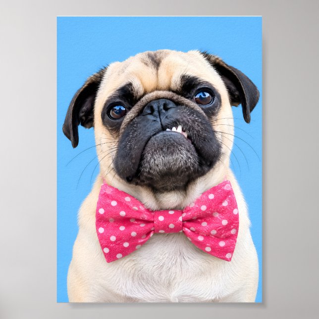 Mops med rosa rosett poster (Framsidan)