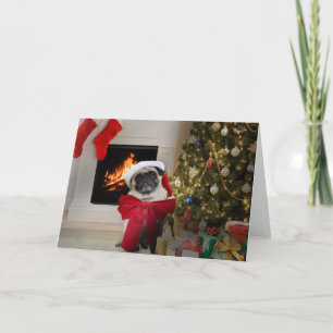 Mops Misha som ha på sig endast en pilbåge för jul Helgkort