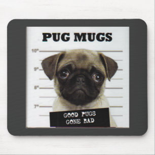 Mops Musmatta