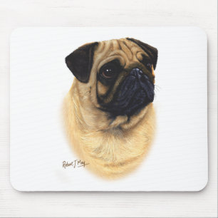 Mops Musmatta