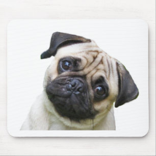 mops musmatta