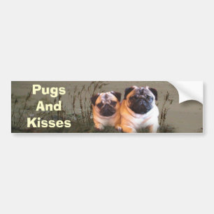 Mops och kyssbildekal bildekal