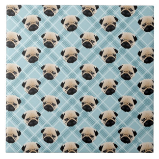 Mops på blåttpläd kakelplatta