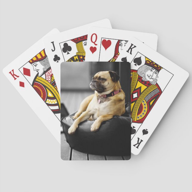 Mops på vilar casinokort (Baksidan)