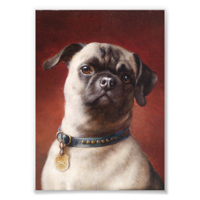 Mops Photo Fototryck (Framsidan)