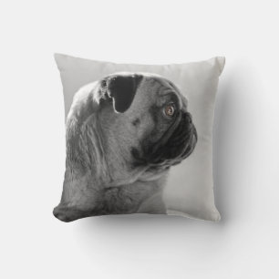 Mops profilerar in kudde