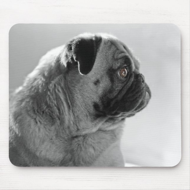 Mops profilerar in musmatta (Framsidan)