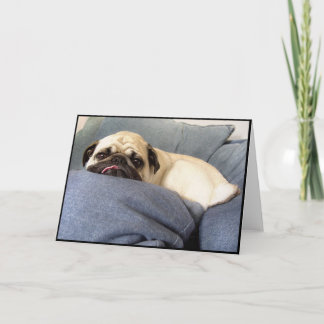 Mops slösar (hälsningkortet) kort