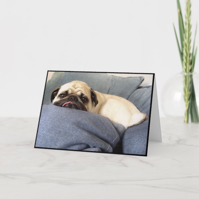 Mops slösar (hälsningkortet) kort (Framsida)