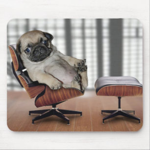 Mops som kyler i en reclinerstol musmatta