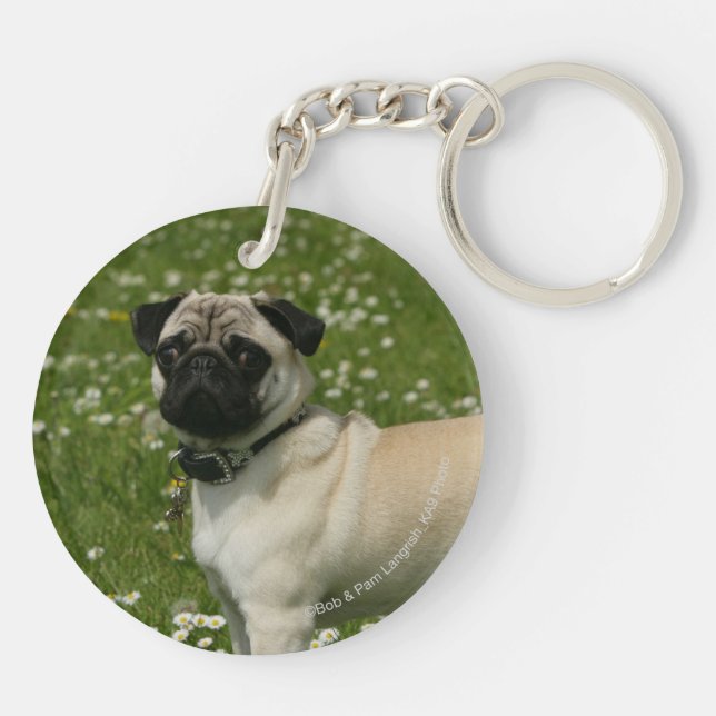 Mops som leker i blommor (Baksidan)