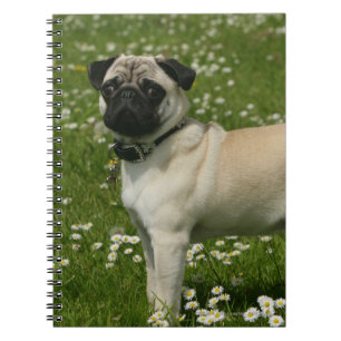 Mops som leker i blommor anteckningsbok med spiral
