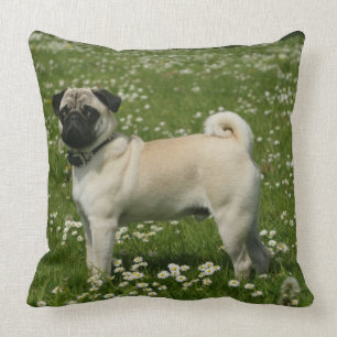 Mops som leker i blommor kudde