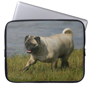 Mops som leker nära vatten laptop fodral