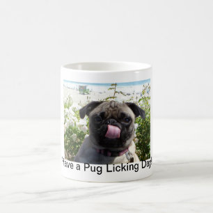 Mops som slickar dagmuggen kaffemugg