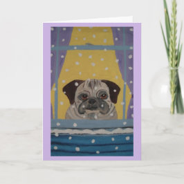 Mops som tittar på snön kort